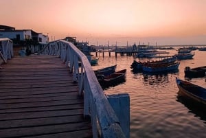 Tumbes: Excursión a los Manglares e Islas de Puerto Pizarro