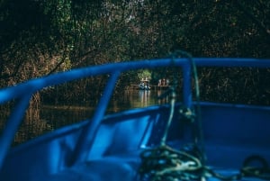 Tumbes: Excursión a los Manglares e Islas de Puerto Pizarro
