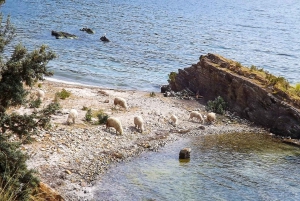 Två dagars rundtur i Titicacasjön med homestay