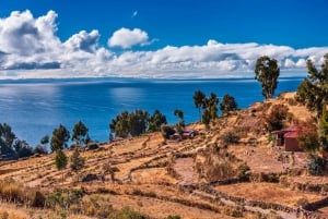 Circuit de deux jours sur le lac Titicaca avec hébergement en famille d'accueil à Amantani