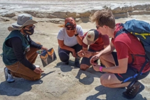 Visit Cañón de los Perdidos + natural oasis in Huacachina
