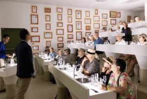 Visita à Adega Tacama - Tour Don Manuel com degustação