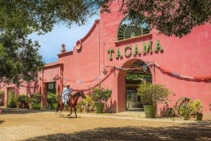 Visita à Adega Tacama - Tour Don Manuel com degustação