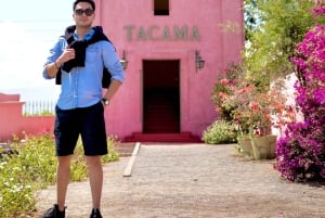 Visita à Adega Tacama - Tour Don Manuel com degustação