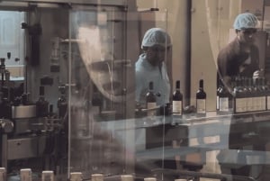 Visita à Adega Tacama - Tour Don Manuel com degustação
