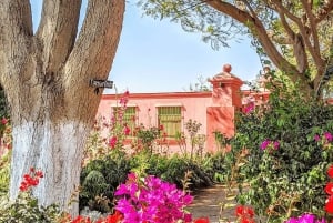 Visita à Adega Tacama - Tour Don Manuel com degustação