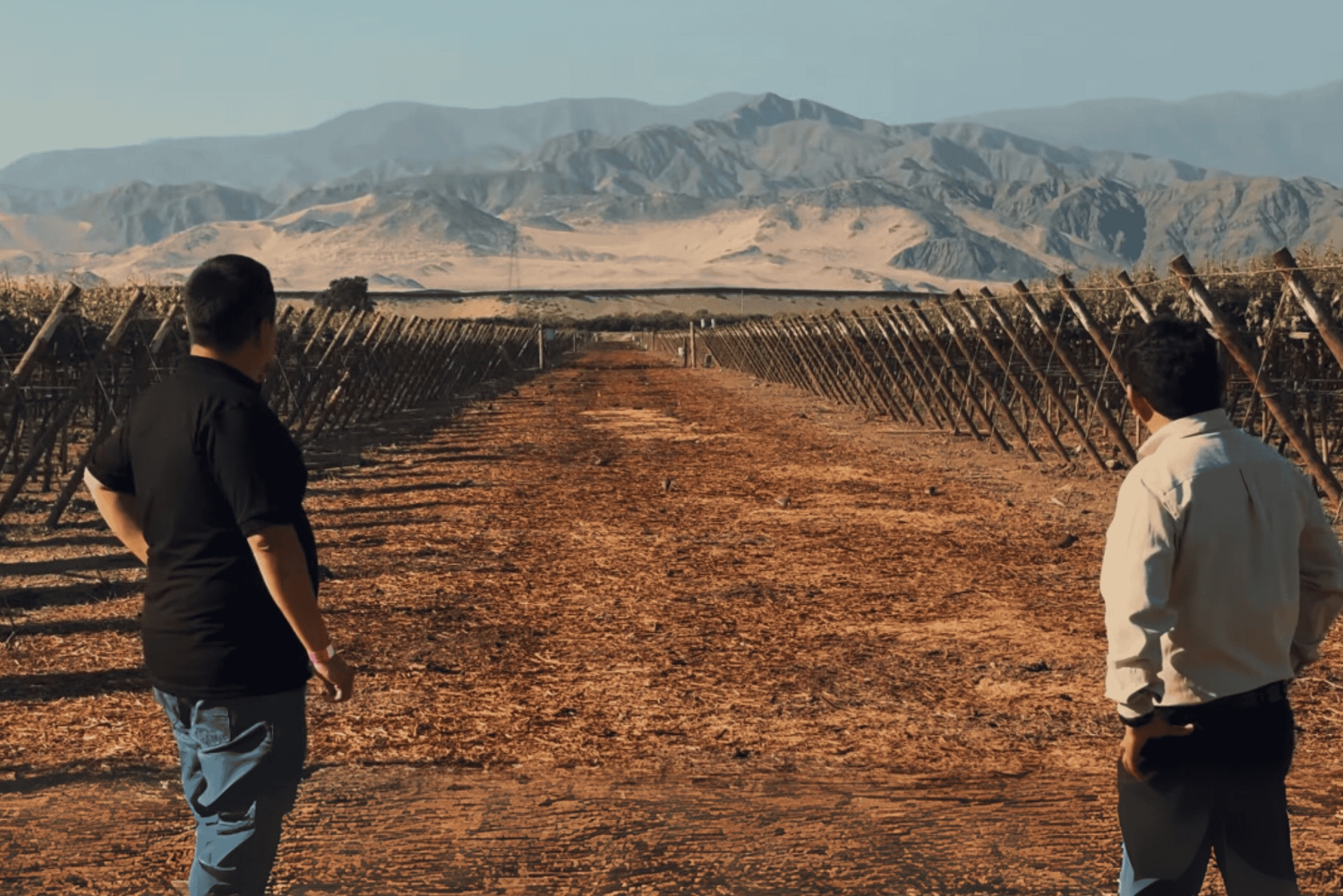 Vierailu Bodega Caravedo - Premium-maistelu