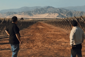 Vierailu Bodega Caravedo - Premium-maistelu