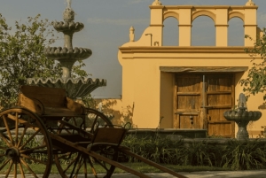 Vierailu Bodega Caravedo - Premium-maistelu