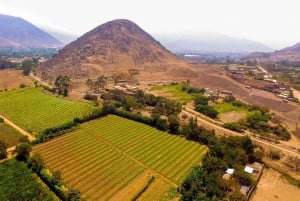 Visit to Pachacamac Archaeological Site from Lima