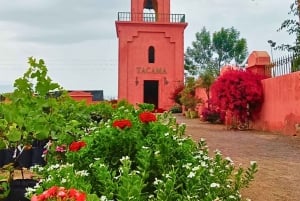 Visita à Adega Tacama - Tour Don Manuel com degustação