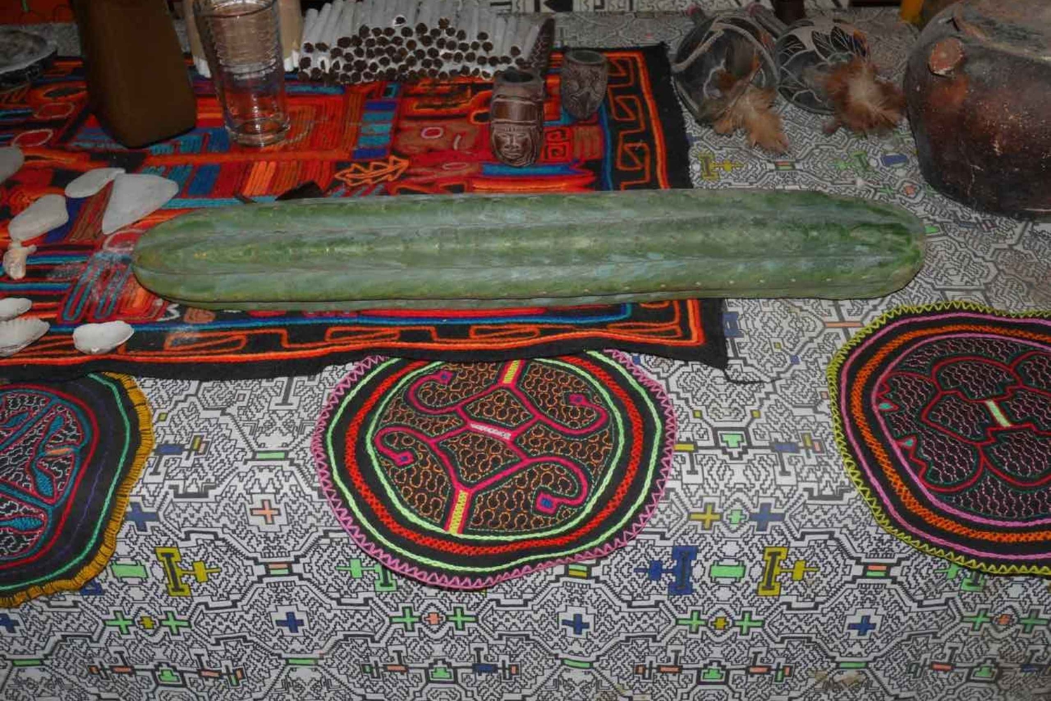 Wachuma (San Pedro) en Ayahuasca-retraite 4D - privé