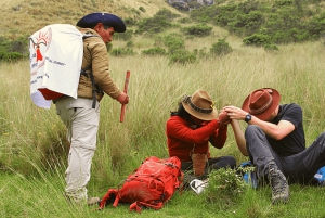 Wachuma Two Days and Ayahuasca Ceremonies