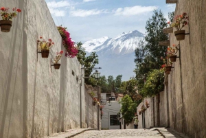Walking tour in the Historic Center of Arequipa