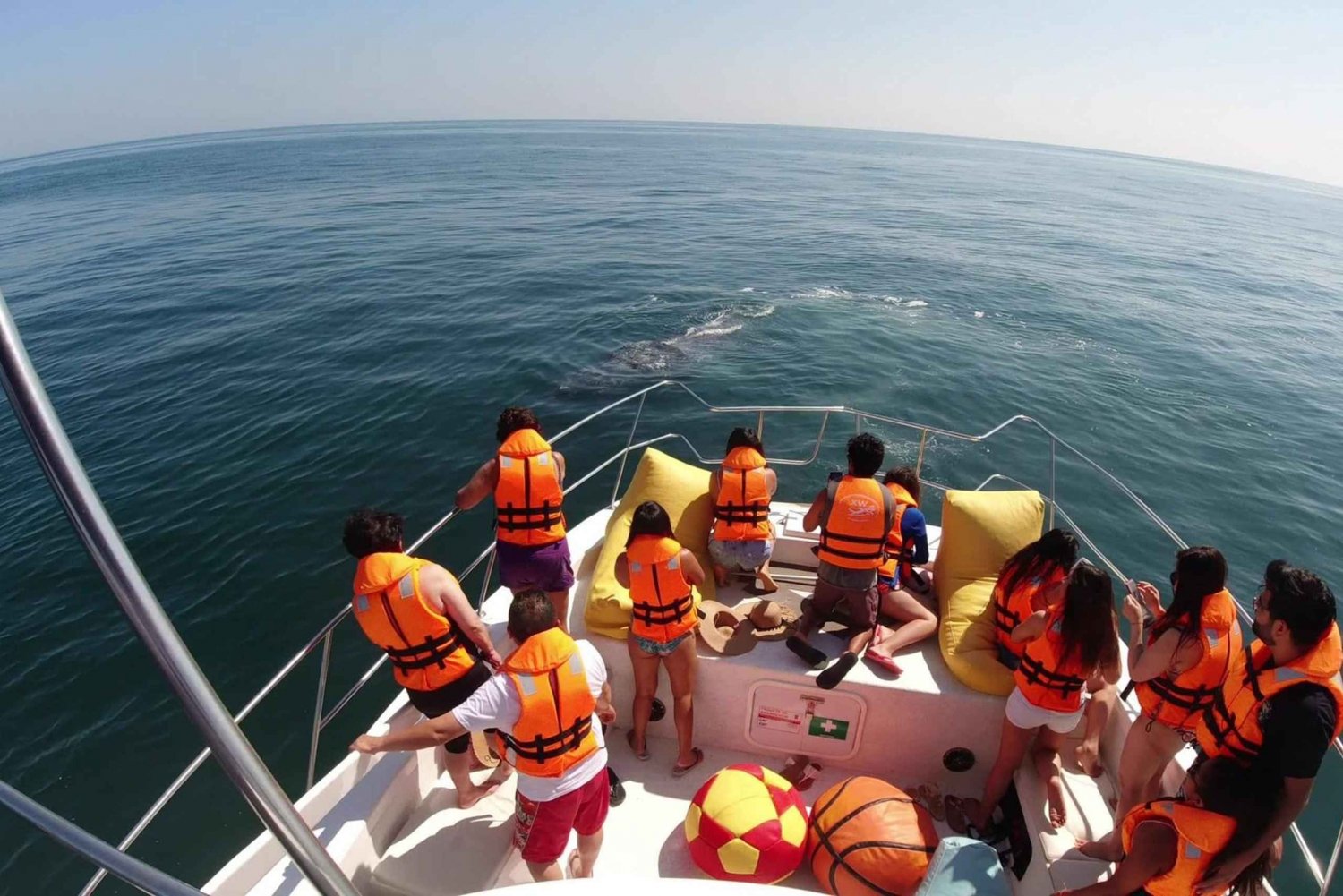 Tumbes: Whale Watching Cruise Guided