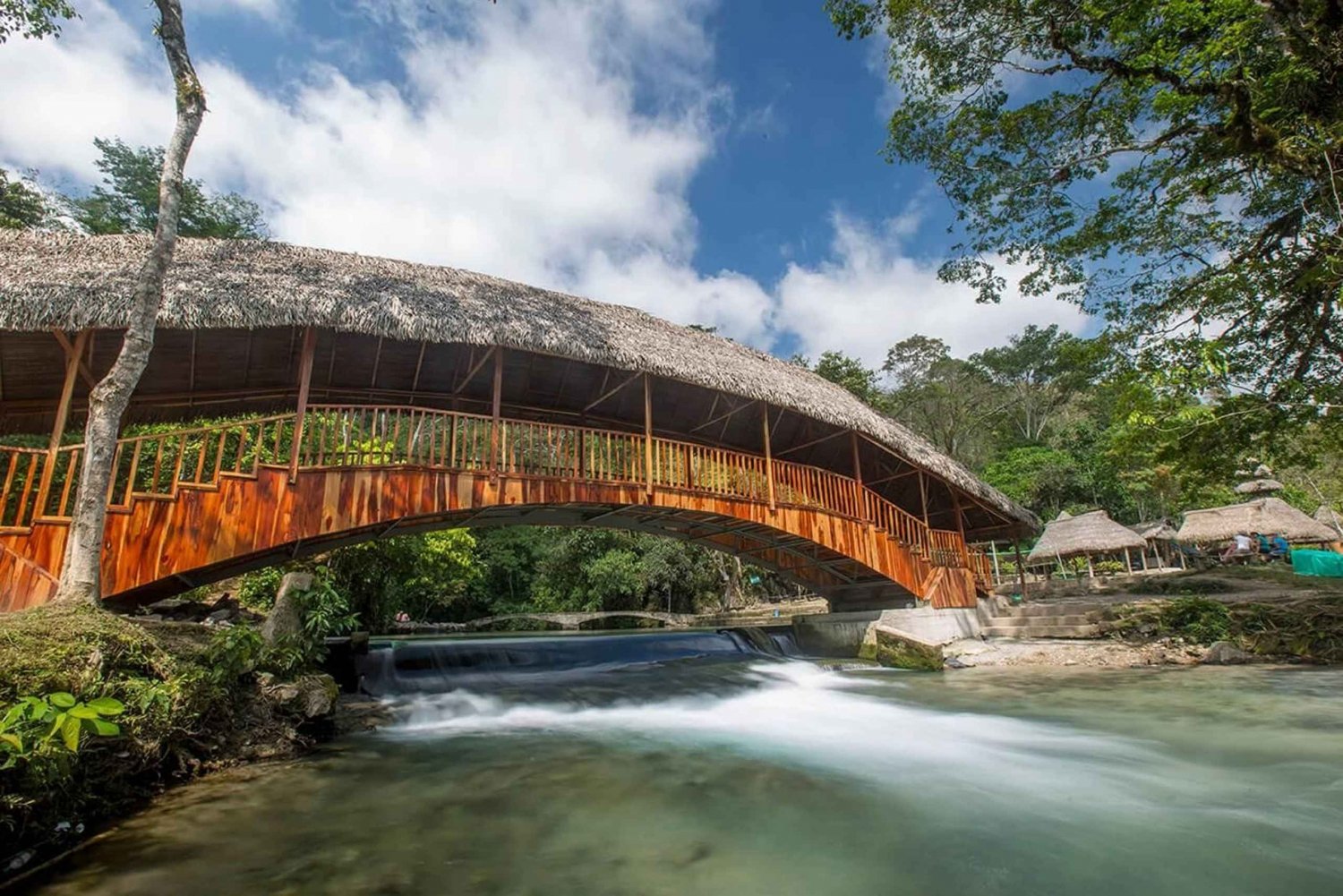 Tarapoto: Alto Mayo Reserve
