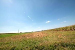 From New York City: Philadelphia and Amish Country Day Trip