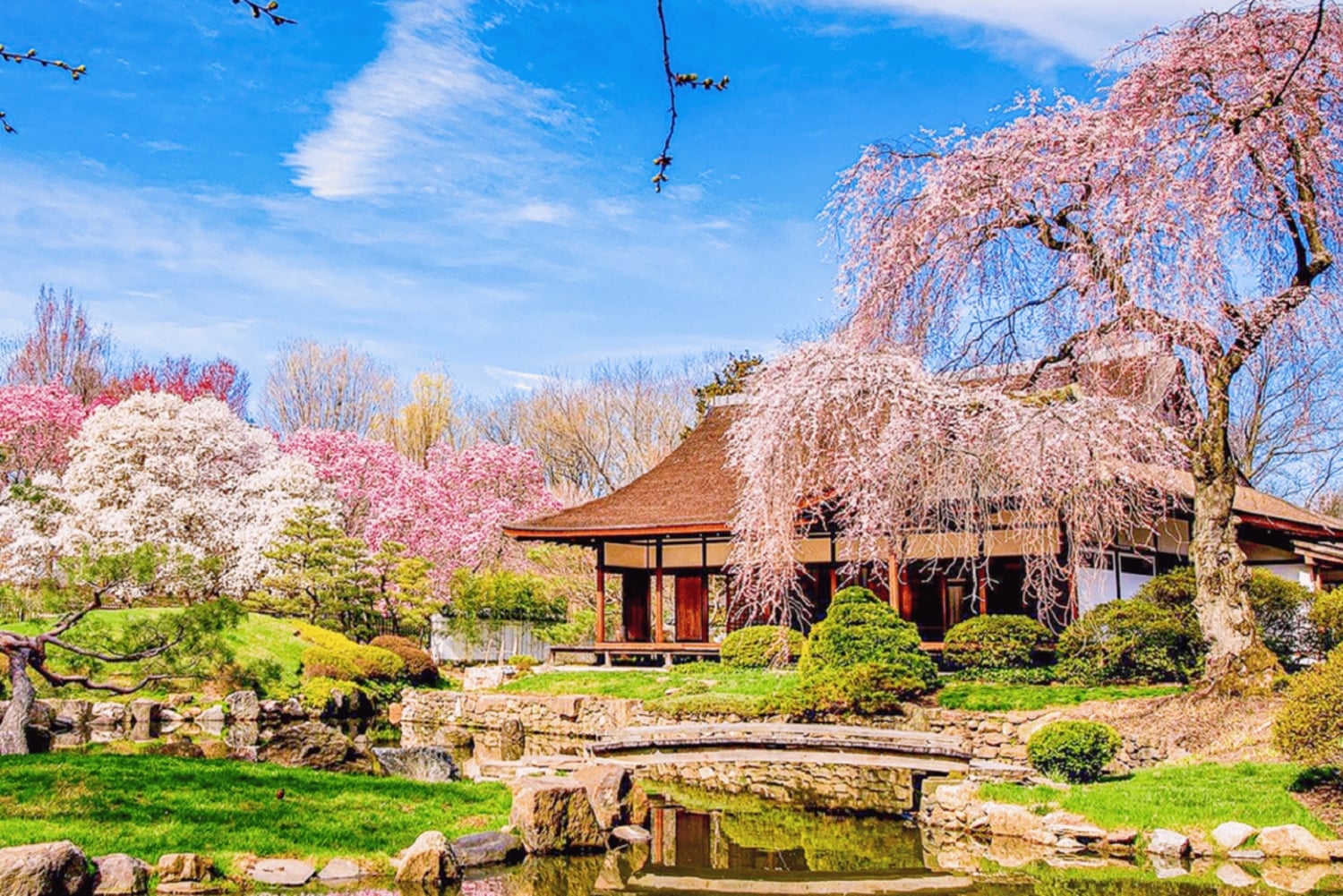 From New York: Philadelphia Cherry Blossom 1-Day Trip