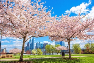 From New York: Philadelphia Cherry Blossom 1-Day Trip