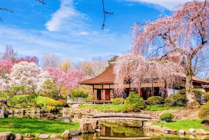 From New York: Philadelphia Cherry Blossom 1-Day Trip