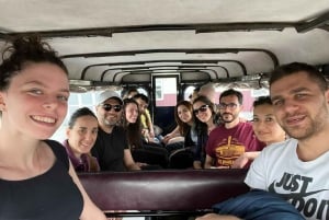 NYC: Filadelfia, Washington DC y el País Amish, excursión de 2 días