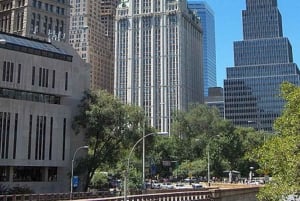 Vanuit Chicago: Federaal gebouw, kolenmijn en meer 1-daagse dagtour