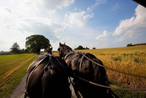 NYC: Filadelfia, Washington DC y el País Amish, excursión de 2 días