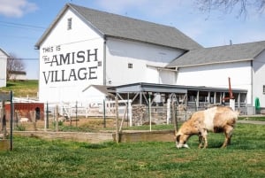 From Philadelphia: Lancaster County Amish Community Tour