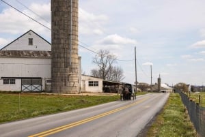 From Philadelphia: Lancaster County Amish Community Tour