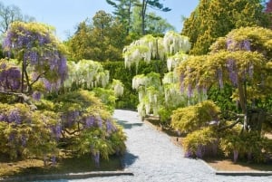 Kennett Square: Longwood Gardens Eintrittskarte