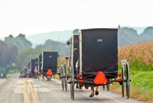 NYC: ナイアガラの滝、トロント、フィラデルフィア、ワシントン D.C. 5 日間ツアー