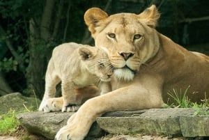 Philadelphia: Go City Explorer Pass with 3 to 7 Attractions