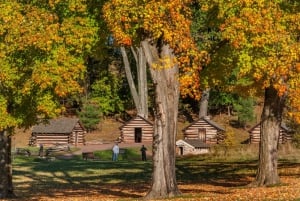 Filadélfia: Valley Forge Tour particular de 4 horas de carro