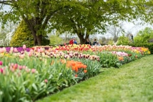 Private Brandywine and Longwood Gardens Driving Tour