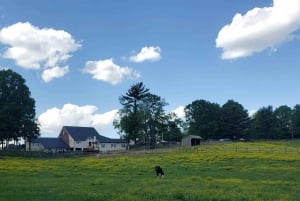 Private Brandywine and Longwood Gardens Driving Tour