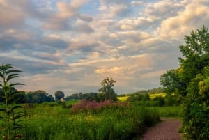 Private Brandywine and Longwood Gardens Driving Tour