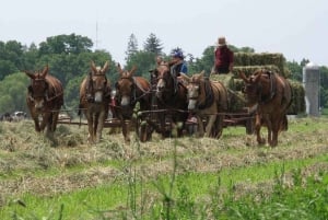 Privétour door de Amish in Lancaster County vanuit Philadelphia