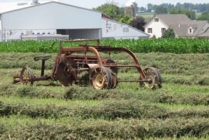 Privétour door de Amish in Lancaster County vanuit Philadelphia