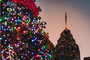 Private Philadelphia Holiday Lights Driving Tour