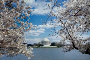 Private Tour: Washington DC mit luxuriösem Geländewagen 6h mit Guide