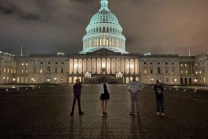 Privat tur: Washington DC med Sprinter 4 timer med egen guide