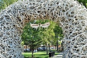 Liten grupp: 4- eller 5-dagars Yellowstone & Grand Teton-tur från SLC