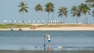 
The
Art of
Longtail Paddlesurf