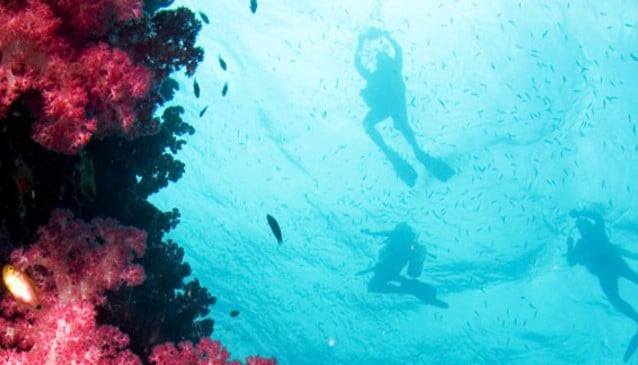 Diving in Phuket | My Guide Phuket