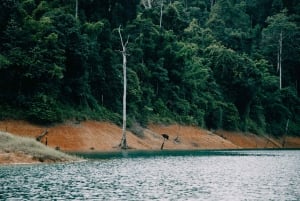 2 Tage Khao Sok mit Übernachtung im Cheow Lan Lake Raft House