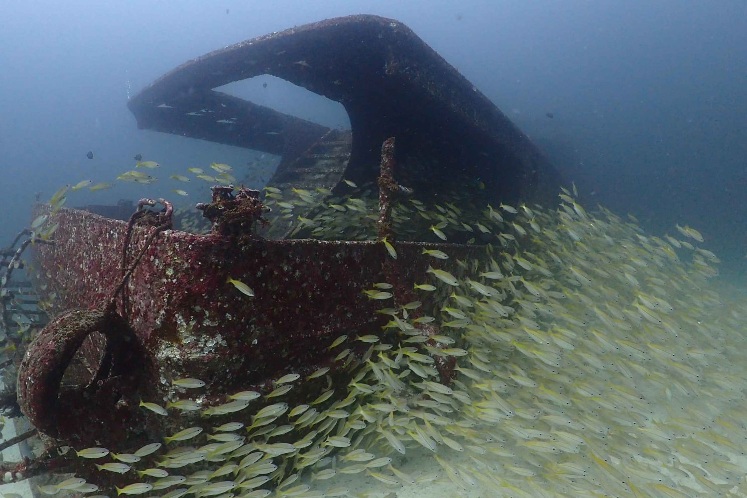 3 увлекательных погружения для сертифицированных дайверов в Racha Yai/Noi