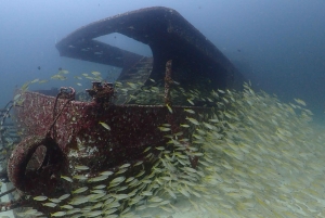 3 увлекательных погружения для сертифицированных дайверов в Racha Yai/Noi
