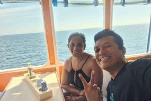 공인 다이버를 위한 3가지 재미있는 다이빙 피피섬 & 샤크 포인트