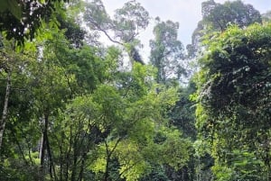 4 Waters Eco Adventure