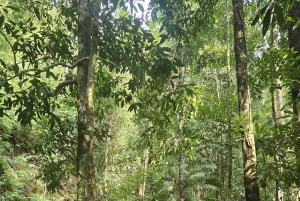 4 Waters Eco Adventure